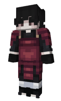 Minecraft skin wrecken