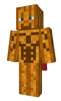 Minecraft skin DashPum4