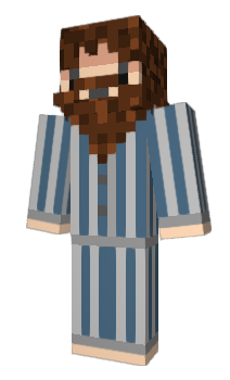 Minecraft skin Dipole