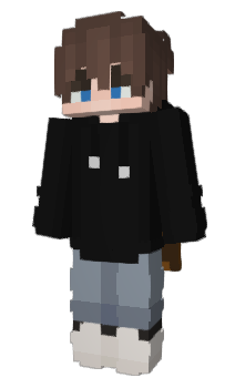 Minecraft skin wsgz