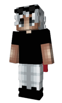 Minecraft скін по ніку bldt