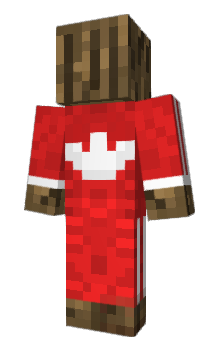 Minecraft skin hkjb