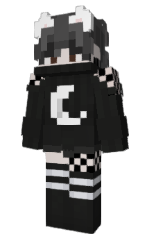 Minecraft skin ehbr