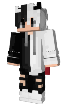 Minecraft skin WPA2
