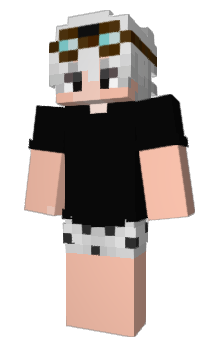 Minecraft skin REALTee