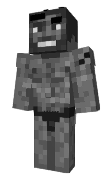 Minecraft skin skeleton100