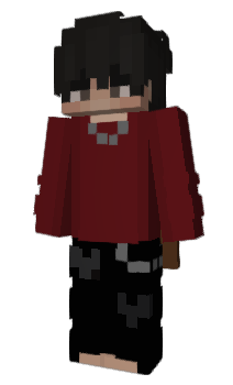 Minecraft skin CraftKartHero