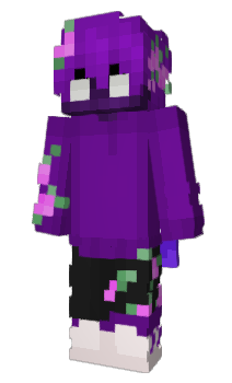 Minecraft skin Endspi