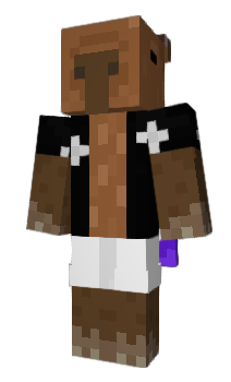 Minecraft skin snwp