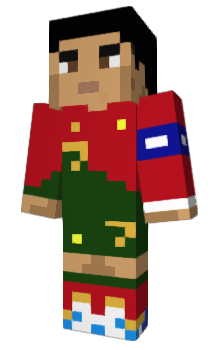 Minecraft skin Terdi