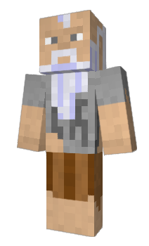 Minecraft skin MetJan