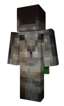 Minecraft skin findsnow