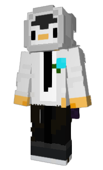 Minecraft skin PokeGamer16