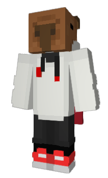 Minecraft skin kapi_skate