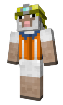 Minecraft skin Ninku