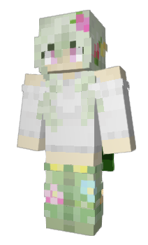 Minecraft skin pokystick