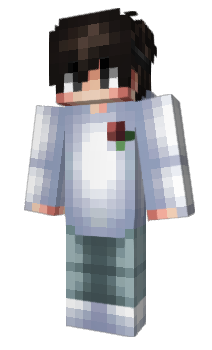 Minecraft skin postgrad