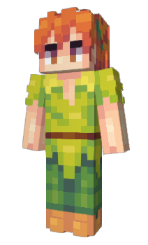 Minecraft skin SDN_