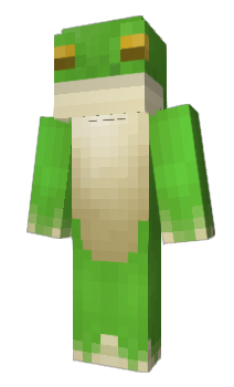 Minecraft skin MrFrogger