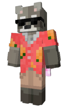 Minecraft skin not_a_racc0on
