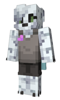 Minecraft skin h4offc