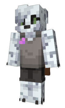 Minecraft skin h4offc
