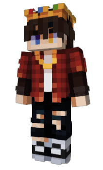 Minecraft skin Teekwast