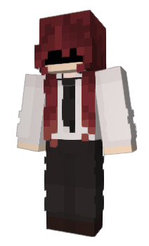 Minecraft skin 6end