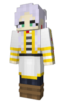 Minecraft skin HCCP