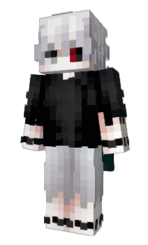 Minecraft skin tmse