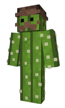 Minecraft skin ISouthBay