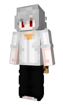 Minecraft skin pza