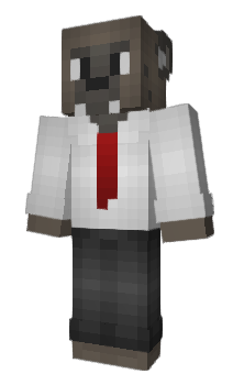Minecraft skin Vevesi