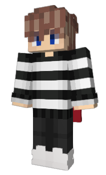 Minecraft skin Zpir