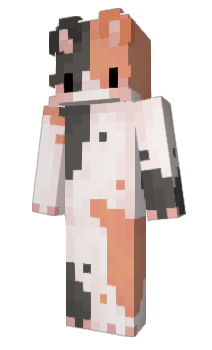 Minecraft skin Baremo