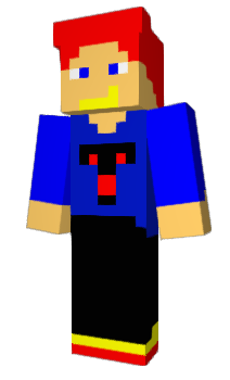 Minecraft скін по ніку minemasterT