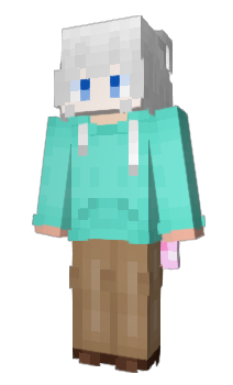 Minecraft skin littw