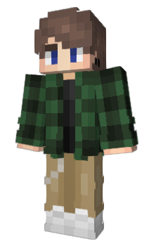 Minecraft skin rorbi