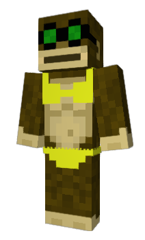 Minecraft skin Dingoo