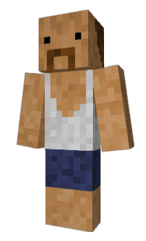 Minecraft skin Jarami