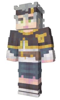 Minecraft skin 135x