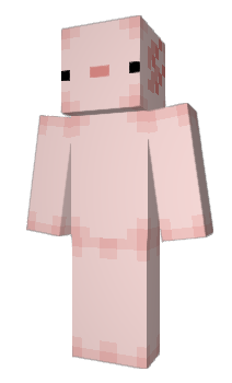 Minecraft skin Ajolote7
