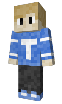 Minecraft skin Stylec