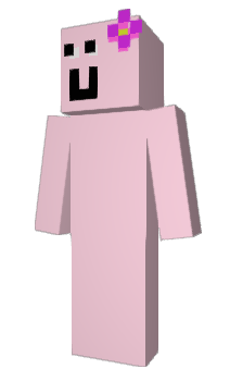 Minecraft skin Haiser