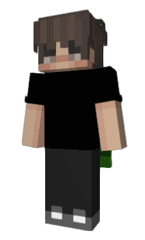 Minecraft skin SSDRX1