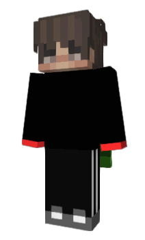 Minecraft skin SSDRX1