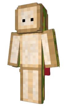 Minecraft skin Hontari