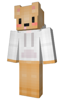 Minecraft skin ROBINex