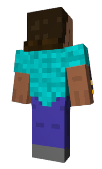 Minecraft skin 76CC