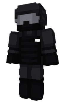 Minecraft skin 17hit